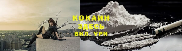 ПСИЛОЦИБИНОВЫЕ ГРИБЫ Магас