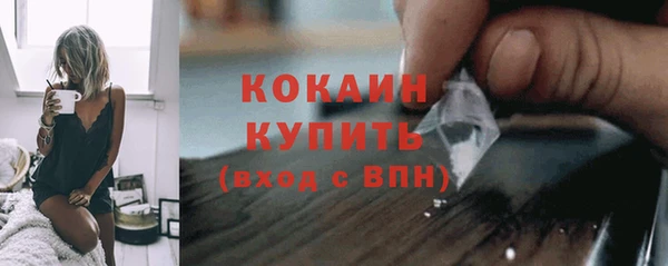 ПСИЛОЦИБИНОВЫЕ ГРИБЫ Магас