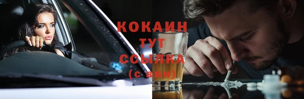 ПСИЛОЦИБИНОВЫЕ ГРИБЫ Магас
