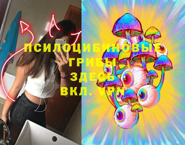 ешки Семикаракорск