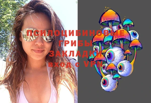 молекула духа Протвино
