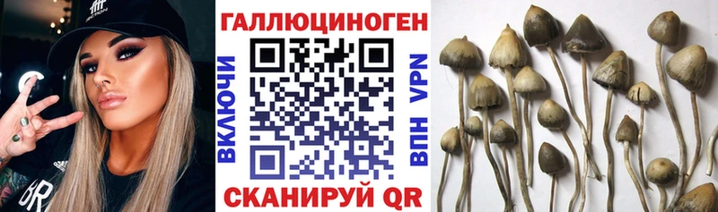 Псилоцибиновые грибы мицелий  наркотики  Дыгулыбгей 